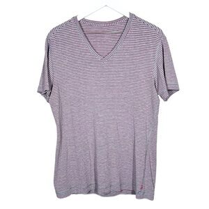 Lululemon Mens Gray and Red Striped Vneck Workout Short Sleeve Tee Shirt